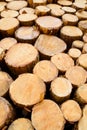 Pine timber stacked Royalty Free Stock Photo