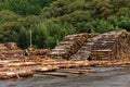 Pine timber stacked at lumber yard Royalty Free Stock Photo