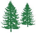 Pine tree