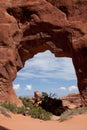 Pine Tree Arch Royalty Free Stock Photo