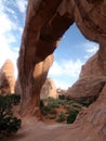 Pine Tree Arch