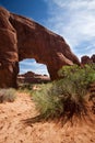 Pine Tree Arch Arches National Park Moab Utah Royalty Free Stock Photo