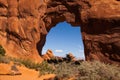 Pine Tree Arch Royalty Free Stock Photo