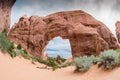 Pine Tree Arch with Fisheye Royalty Free Stock Photo