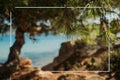 Pine tree, beautiful beach and blue sea background . Royalty Free Stock Photo
