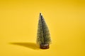 Pine tree on bold yellow background with shadow. Christmas modern minimal greeting card