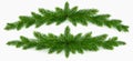 Pine tree branch christmas garland set realistic vector illustration