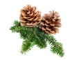 Pine cone Christmas decoration element Royalty Free Stock Photo