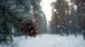 A pine tree branch with a pine cone in the foreground, with a blurred forest in the background. Royalty Free Stock Photo