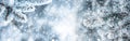 Pine tree branches covered frost in snowy atmosphere. Winter panoramic banner with snowy pine branches Royalty Free Stock Photo