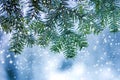 Pine tree branches with green needles covered with deep fresh clean snow on blurred blue outdoors copy space background. Merry Royalty Free Stock Photo