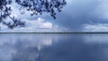 Pine tree branches overhang the lake water and seagulls fly by. On the water ripples and reflection of the sky with clouds. A fish Royalty Free Stock Photo