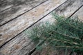 Pine tree branches vintage wood Royalty Free Stock Photo