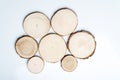 Pine tree cross-sections with annual rings on white background. Lumber piece close-up, top view.