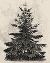 Drawn Vintage Pine Tree On Weathered Parchment Background