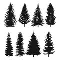 Pine tree flat icon