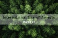 Pine tree forest from above, aerial, International Day of Forests, 21 march Royalty Free Stock Photo
