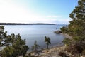 Pine tree forest areal cliff Baltic sea view in Sweden.