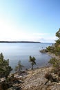 Pine tree forest areal cliff Baltic sea view in Sweden