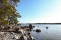 Pine tree forest areal Sweden cliff Baltic sea view in Sweden.