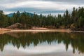 Pine tree forest reflections in calm lake with cloudy sky Royalty Free Stock Photo