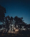 Pine tree forest silhouette on a dark starry sky background Royalty Free Stock Photo