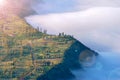 Pine tree forests and a little village in the morning with many fog and sunlight on the pine tree at cemero lawang of Bromo tengge Royalty Free Stock Photo