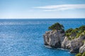 Tree in front of blue turquoise water of calanque national park, south france Royalty Free Stock Photo