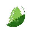 Pine-tree green icon, silhouette and vector logo. Nature sign and symbol