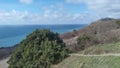 A pine tree grows on the coastal sea slope. There is a hiking trail down to the seashore. In spring there are no leaves on the shr Royalty Free Stock Photo