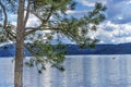 Pine Tree House Boat Reflection Lake Coeur d` Alene Idaho Royalty Free Stock Photo
