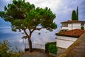 Pine and house above lake Maggiore, Ascona Royalty Free Stock Photo