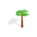 Pine tree icon, isometric 3d style Royalty Free Stock Photo