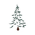 Pine Tree icon. Nature and plant design. Vector graphic Royalty Free Stock Photo