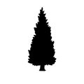 Pine tree illustartion black silhouette Royalty Free Stock Photo