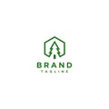 Pine Tree Inside Hexagon Logo Design