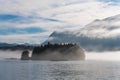 Meares Island Fog, Tofino, Vancouver Island, Canada Royalty Free Stock Photo