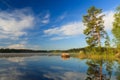 Pine tree by the lake at morning Royalty Free Stock Photo