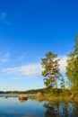 Pine tree by the lake at morning Royalty Free Stock Photo
