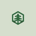 Pine tree logo design. Abstract tree icon. pine hexagon logo