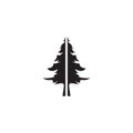 Pine tree logo design symbol template