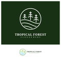 Pine Tree logo design vector template, Tropical forest logo concepts illustration Royalty Free Stock Photo