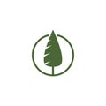 Pine tree logo ilustration