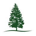 Pine Tree Logo Vector