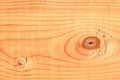 Pine Tree Lumber Macro