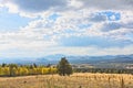 A pine tree in the middle of the field with yellow apsen and pines in the background. Snowbowl, Flagstaff, Arizona. Royalty Free Stock Photo