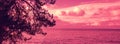 Pine tree near the sea at purple sunset. Viva-Magenta Color Royalty Free Stock Photo