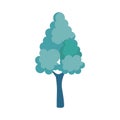 Pine tree plant isolated icon Royalty Free Stock Photo