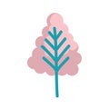 Pine tree plant isolated icon Royalty Free Stock Photo