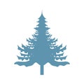 Pine tree plant isolated icon Royalty Free Stock Photo